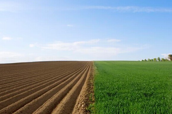 我国首次将耕地分等定级 耕地退化面积超四成